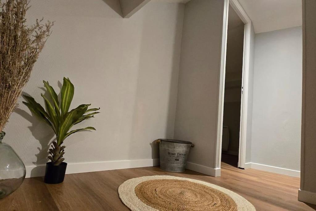 Beau Duplex Proche Centre-ville Apartment *